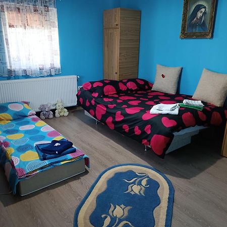 Casa De Vacanta Alina Prundul Birgaului エクステリア 写真