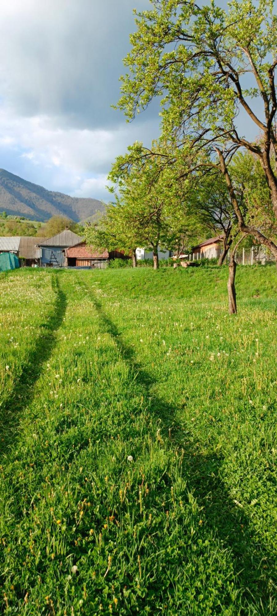 Casa De Vacanta Alina Prundul Birgaului エクステリア 写真