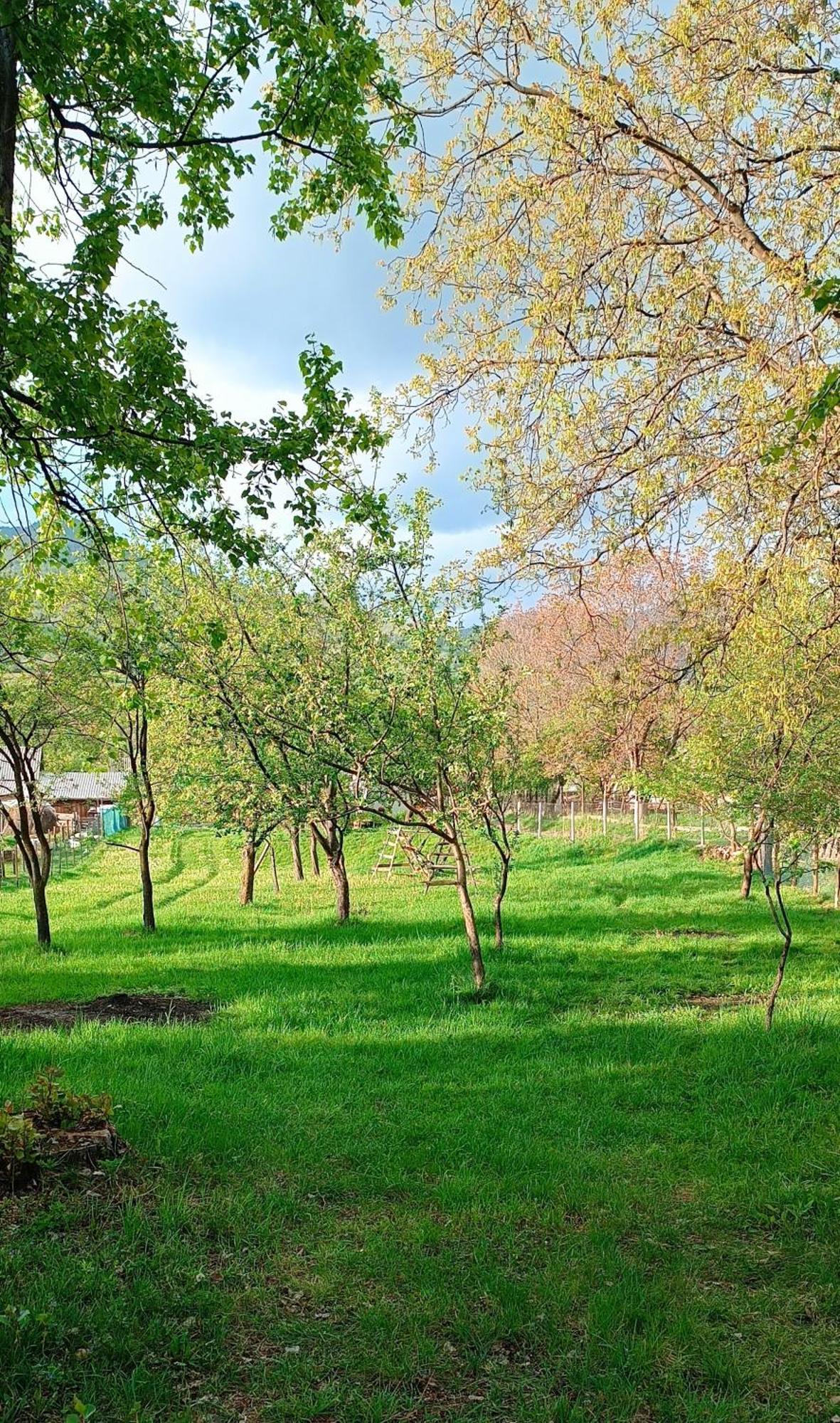 Casa De Vacanta Alina Prundul Birgaului エクステリア 写真
