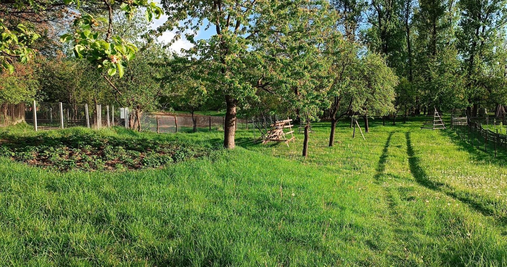 Casa De Vacanta Alina Prundul Birgaului エクステリア 写真