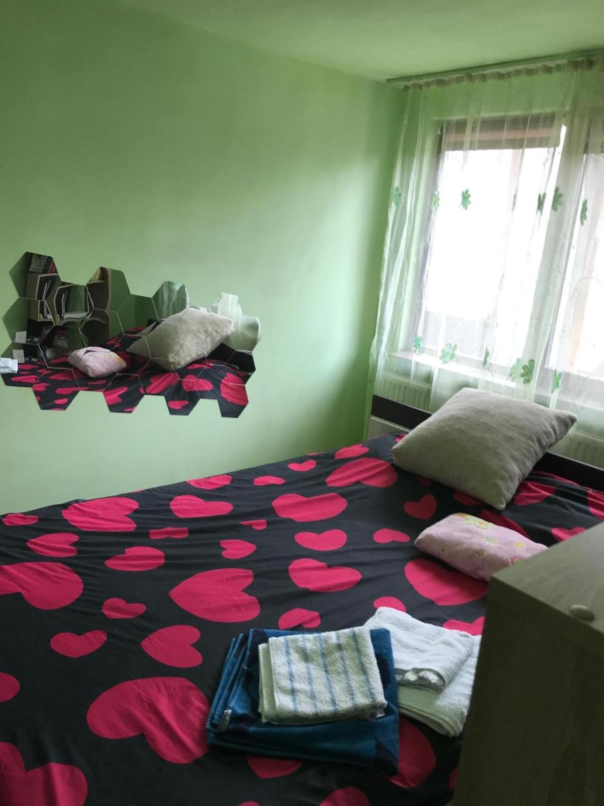 Casa De Vacanta Alina Prundul Birgaului エクステリア 写真