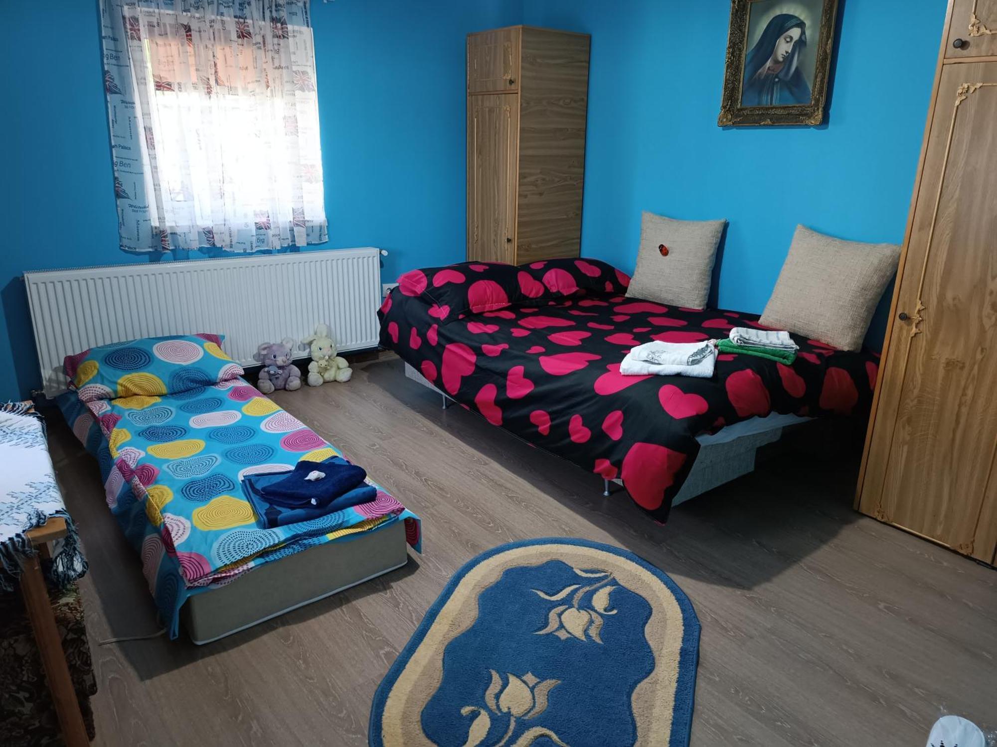 Casa De Vacanta Alina Prundul Birgaului エクステリア 写真